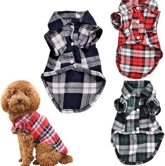 Accessories - Dog wear